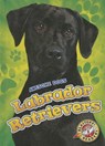 Labrador Retrievers - Chris Bowman - 9781626172425