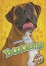 Boxers - Mari Schuh - 9781626173033