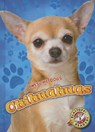 Chihuahuas - Mari Schuh - 9781626173057