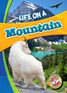 Life in a Mountain - Laura Hamilton Waxman - 9781626173194