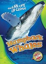 Humpback Whales - Christina Leaf - 9781626174177