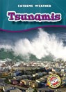 Tsunamis - Keith McCarthy - 9781626174689
