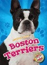 Boston Terriers - Christina Leaf - 9781626175570