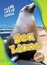 Sea Lions - Heather Adamson - 9781626176454