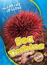 Sea Urchins - Heather Adamson - 9781626176461