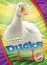 Ducks - Kari Schuetz - 9781626177222