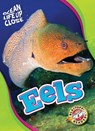 Eels - Nathan Sommer - 9781626177659