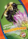 Bumblebees - Patrick Perish - 9781626178014