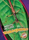 Walkingsticks - Patrick Perish - 9781626178045