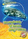 Humpback Whale Migration - Kari Schuetz - 9781626178168