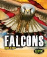 Falcons - Nathan Sommer - 9781626178793