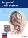 Surgery of the Brainstem - Robert F. Spetzler ; M. Yashar Kalani ; Michael T. Lawton - 9781626232914
