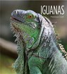 Iguanas - Melissa Gish - 9781628321685