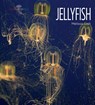 Jellyfish - Melissa Gish - 9781628321692