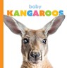 Baby Kangaroos - RIGGS,  Kate - 9781628328127