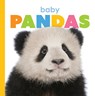 Baby Pandas - RIGGS,  Kate - 9781628328134