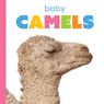 Baby Camels - Kim Thompson - 9781628329513
