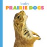 Baby Prairie Dogs - Kim Thompson - 9781628329551