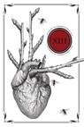 Thirteen: Stories of Transformation - Adrienne J. Odasso ; Tais Teng ; Fiona Moore ; Richard Bowes ; Jennifer Giesbrecht ; David Tallerman ; Lyn McConchie ; Liz Argall ; Julie C. Day ; Grá Linnaea ; Christie Yant ; Rik Hoskin ; Marc Levinthal ; Richard Thomas ; Gregory L. Norris ; Alex Dally  - 9781630230913