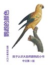 &#40550;&#40521;&#30340;&#39068;&#33394;: &#23401;&#23376;&#35748;&#35782;&#22823;&#33258;&#28982;&#39068;&#33394;&#30340;&#23567;&#20070; - David E. McAdams - 9781632706393