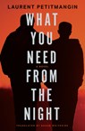 What You Need from the Night - Laurent Petitmangin - 9781635423501