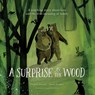 A Surprise in the Wood - Cosetta Zanotti - 9781636550923
