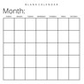 Blank Calendar - Llama Bird Press - 9781636570457