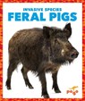 Feral Pigs - KLEPEIS,  Alicia Z. - 9781636907963