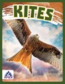 Birds of Prey: Kites - Connor Stratton - 9781637381816
