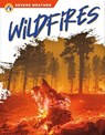 Wildfires - Candice Ransom - 9781637383063