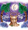 Comet's Tale - Thomas B. Davis - 9781637656822