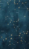 Constellated Journal -  - 9781638191094