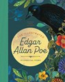 ILLUS EDGAR ALLAN POE - Ryan G. Van Cleave - 9781638191469
