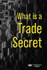 What Is a Trade Secret - Dawn M. Mertineit - 9781639054442