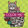 Color Me! Cats (Coloring Book with Quotes!) - New Seasons - 9781639389032