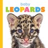 Baby Leopards - Meg Greve - 9781640264205