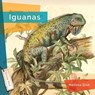 Iguanas - Melissa Gish - 9781640267886