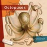 Octopuses - Melissa Gish - 9781640267947