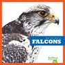 Falcons - Jenna Lee Gleisner - 9781641288217