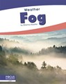 Fog - Brienna Rossiter - 9781641858588