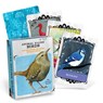 Em & Friends Animal Allies Birds Deck -  - 9781642464887