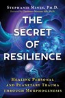 The Secret of Resilience - Stephanie Mines - 9781644116081