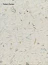 Robert Ryman - Robert Ryman ; Dieter Schwarz ; Jeffrey Kastner ; Lucy Lippard - 9781644231456