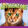 Abyssinians - Marysa Storm - 9781644666760