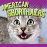 American Shorthairs - Marysa Storm - 9781644666777