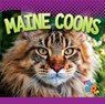 Maine Coons - Marysa Storm - 9781644666784