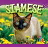Siamese - Marysa Storm - 9781644666807