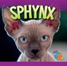Sphynx - Marysa Storm - 9781644666814