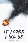It Looks Like Us - Alison Ames - 9781645676195