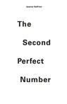 The Second Perfect Number - Joanna Solfrian - 9781646624300